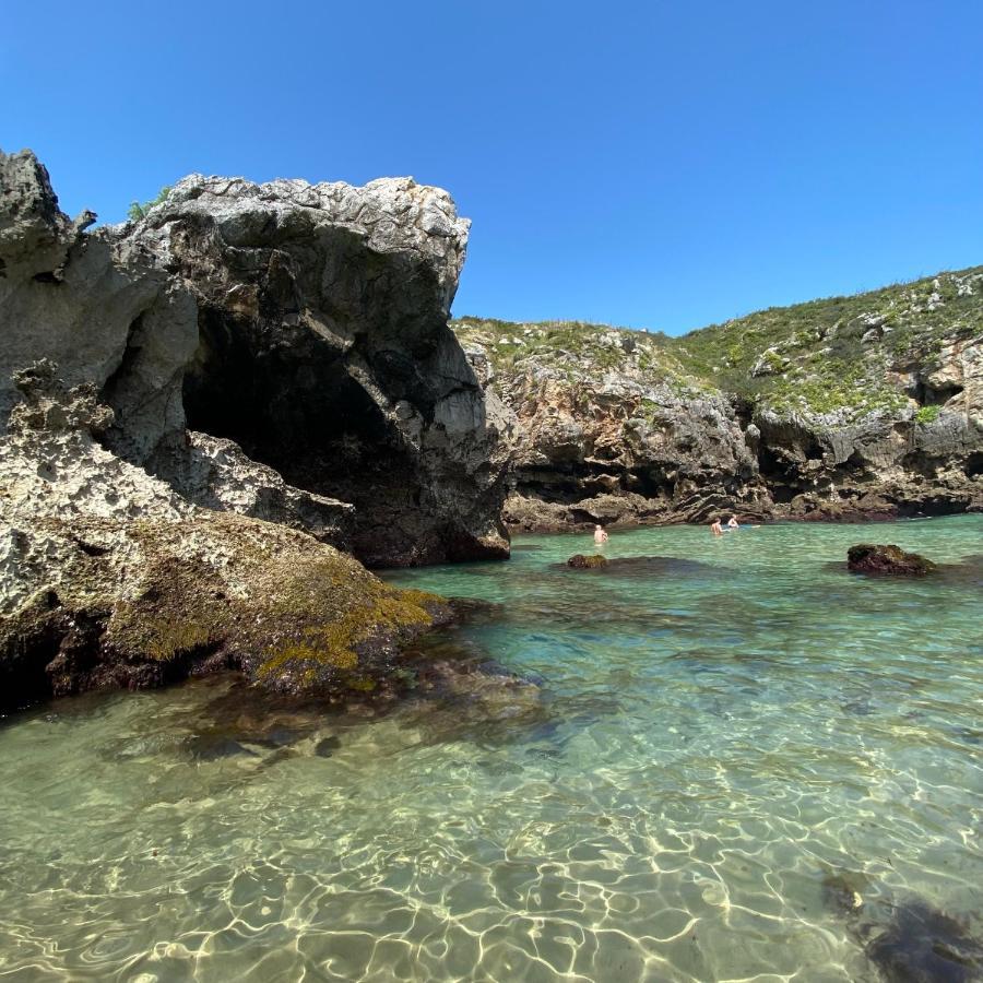 La Casa De Hierba - Casa De Campo De Diseno Con Jardin Y Wifi Cerca De Las Playas De Llanes Bagian luar foto