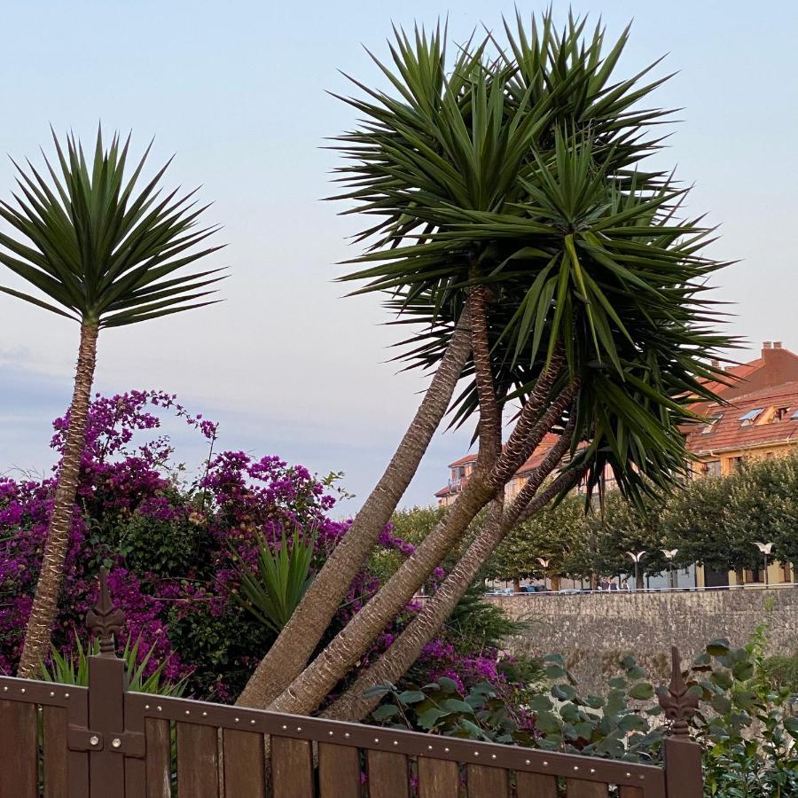 La Casa De Hierba - Casa De Campo De Diseno Con Jardin Y Wifi Cerca De Las Playas De Llanes Bagian luar foto
