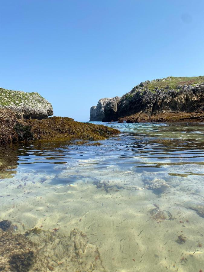 La Casa De Hierba - Casa De Campo De Diseno Con Jardin Y Wifi Cerca De Las Playas De Llanes Bagian luar foto